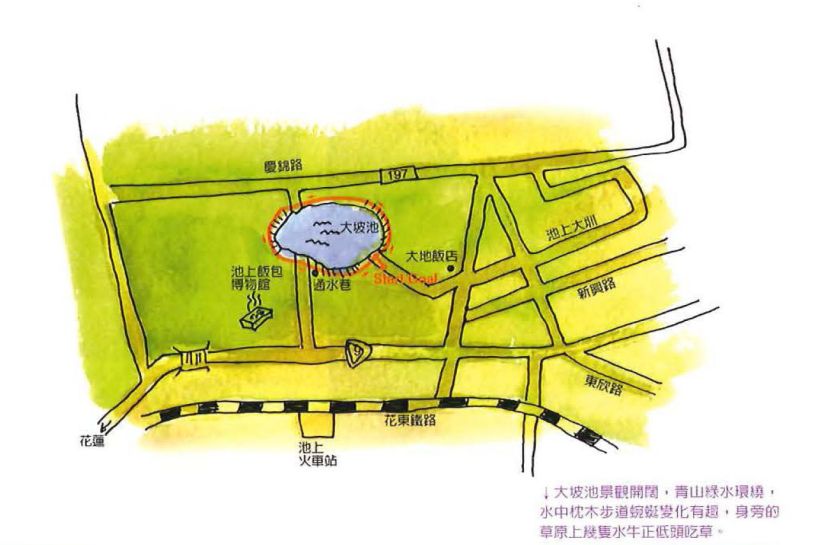 大坡池-孕育生態的天然濕地